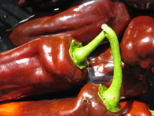 Schokoladiger Farbenrausch